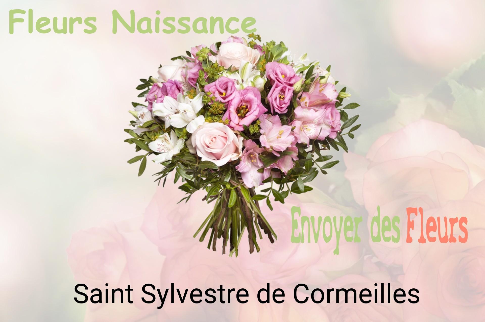 Bouquet de fleurs de naissance livré à Saint-Sylvestre-de-Cormeilles